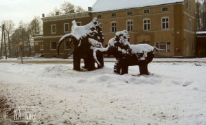 29.12.1990. Widok na słonie i  centrum Radwanic